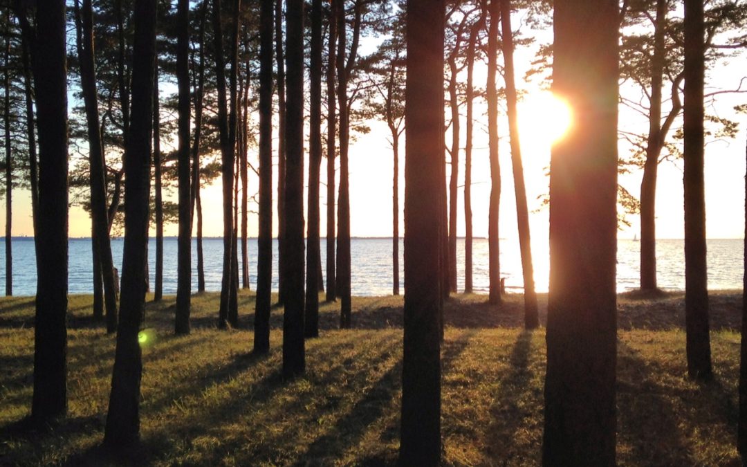 Constantly Failing 1